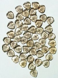 50 9mm Transparent Light Smoke Topaz Leaf Beads